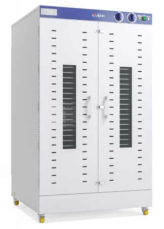 Шкаф сушильный ШС-32-2Г-01 (дегидратор) 
