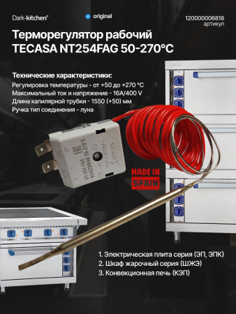 Рабочий терморегулятор NT254FAG TECASA 50-270*С Абат