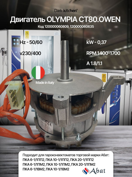 Двигатель OLYMPIA Абат FIR 1079А6352 для ПКА код 60635