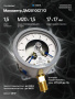 Манометр ДМ 2010-С ГБх1.0 для котла КПЭМ Абат код 120000012919