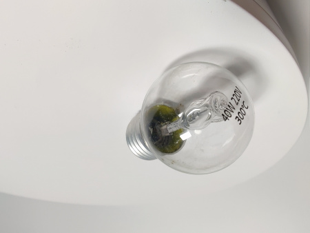 Лампочка 40W 230V Абат Цоколь E27 температура 0-300* код 120000044551 (ПЭП-4)