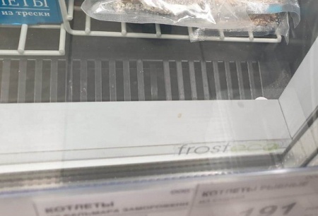 Пристенные морозильные стеллажи POLAIR GELO