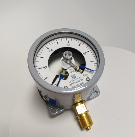 Манометр ДМ 2010-С ГБх1.0 для котла КПЭМ Абат код 120000012919
