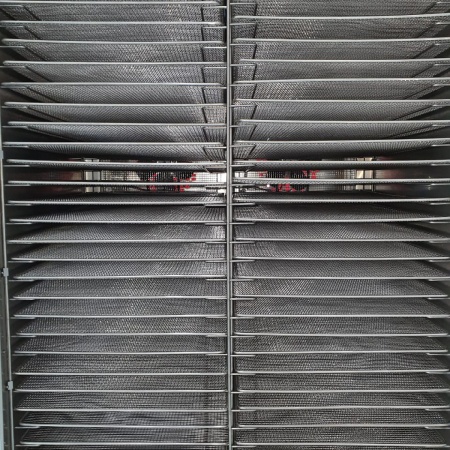 Шкаф сушильный ШС-32-2Г-01 (дегидратор) 