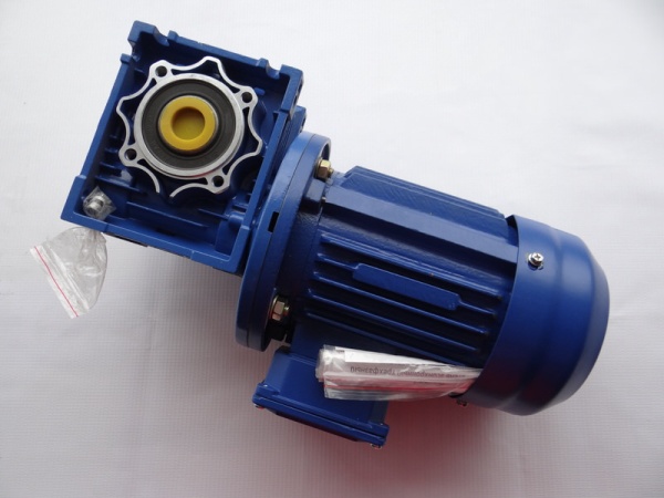 Мотор-редуктор UD-RV-050-60-15-0,18В5-F-В3